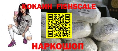 МДПВ Камень-на-Оби