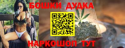 МДПВ Камень-на-Оби