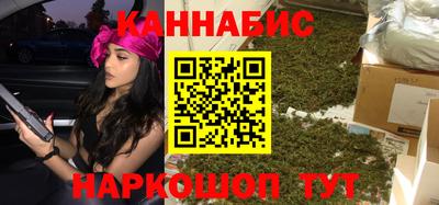 МДПВ Камень-на-Оби
