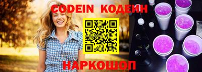 МДПВ Камень-на-Оби