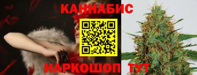 МДПВ Камень-на-Оби