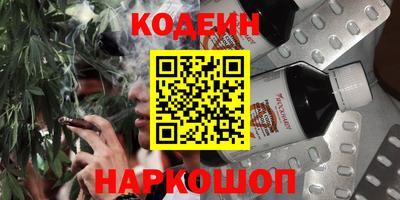 МДПВ Камень-на-Оби