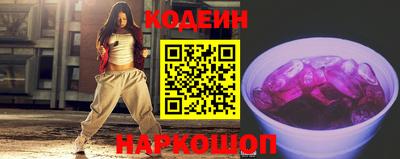 МДПВ Камень-на-Оби