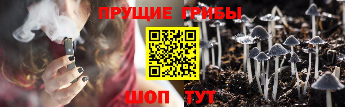 Псилоцибиновые грибы ЛСД  Вход с VPN  Белово 